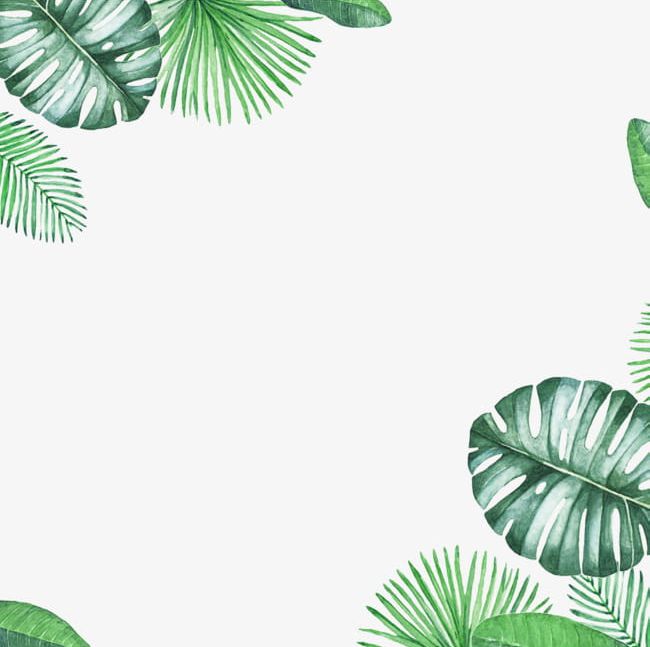 tropical border clipart simple png 10 free Cliparts | Download images