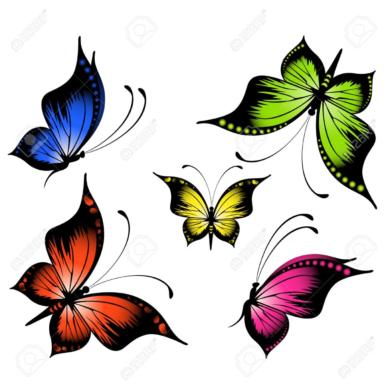 Tropical Butterfly Clipart.