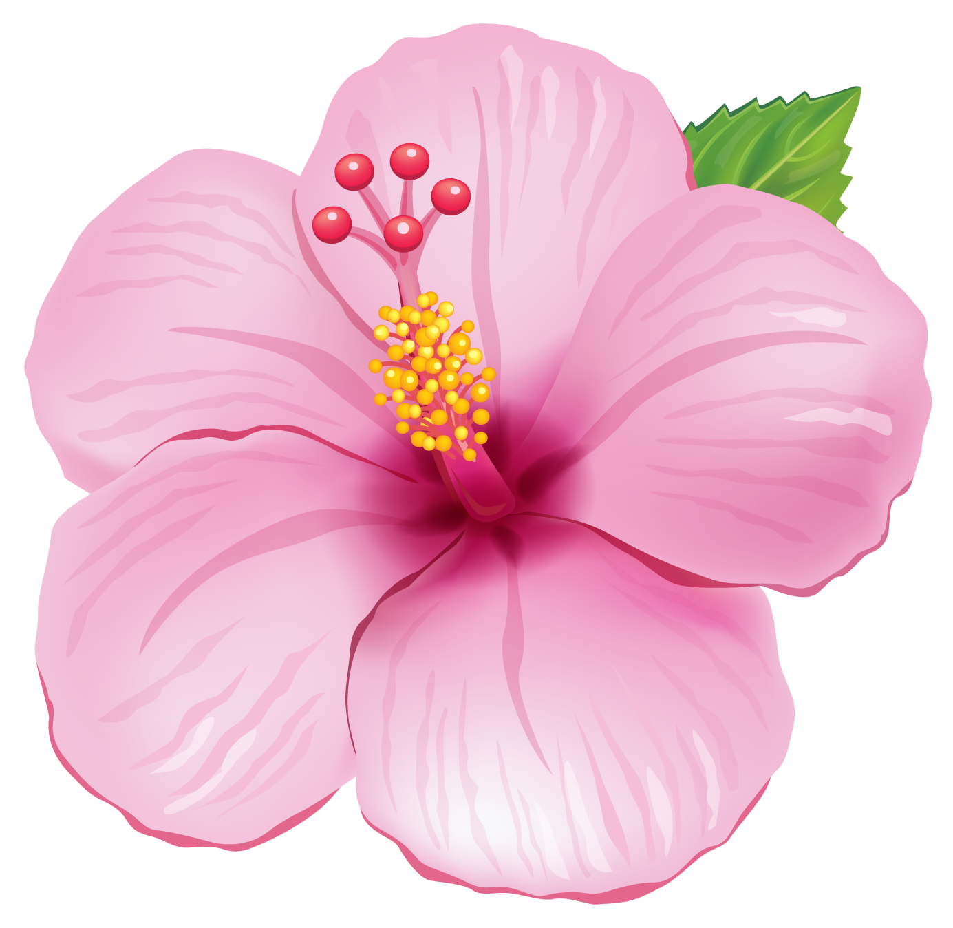 Pink Exotic Flower PNG Clipart Picture.