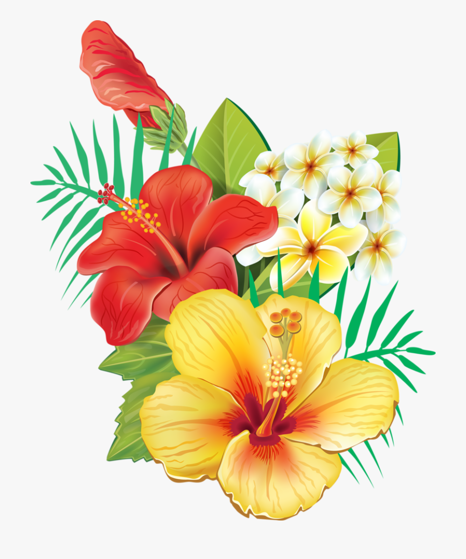 tropical flower png 10 free Cliparts | Download images on Clipground 2021