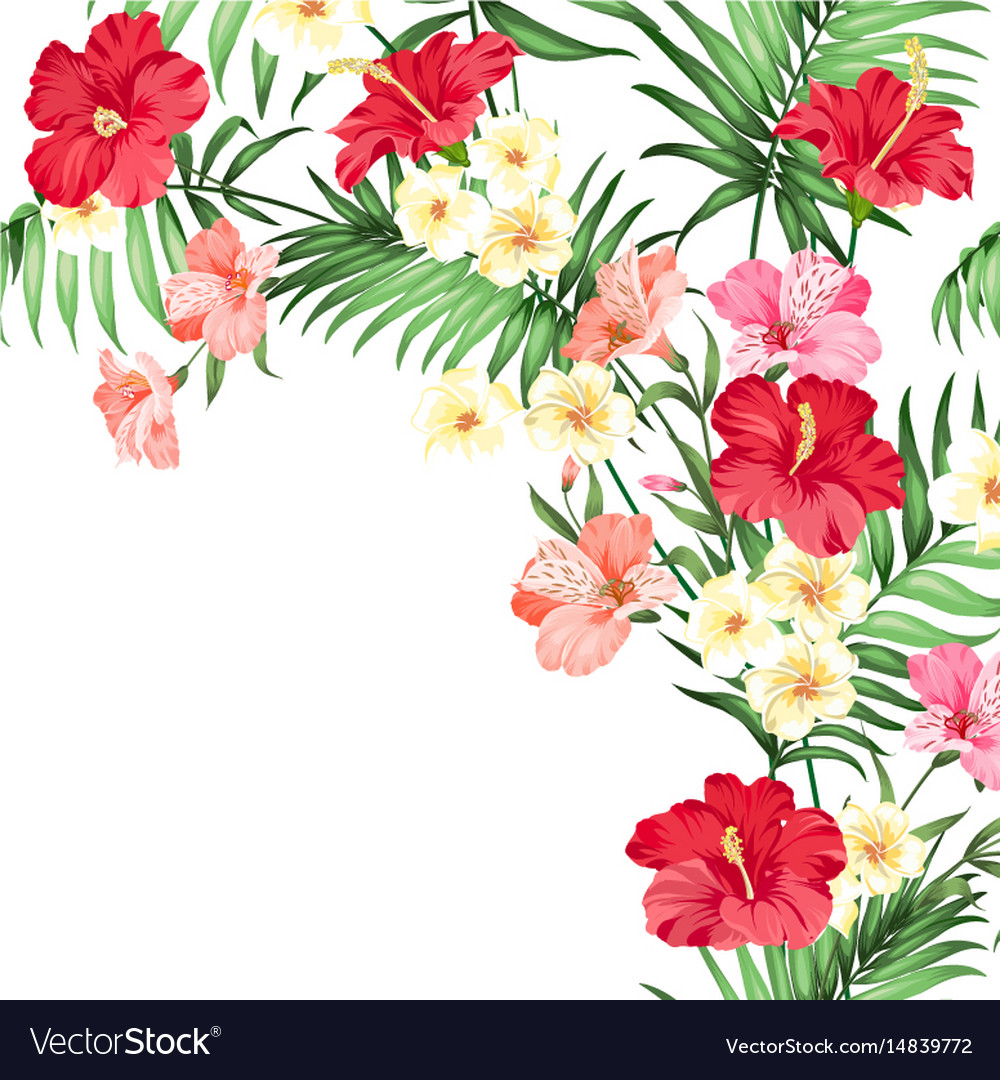 Free Free 264 Hawaiian Flower Svg Free SVG PNG EPS DXF File