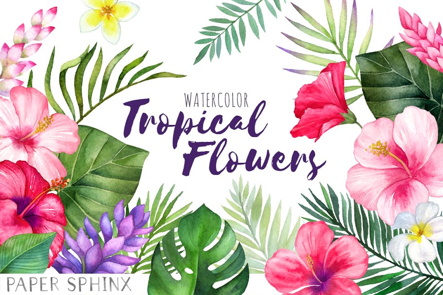 Watercolor Tropical Flowers Clipart ~ Graphics ~ Creative Market.