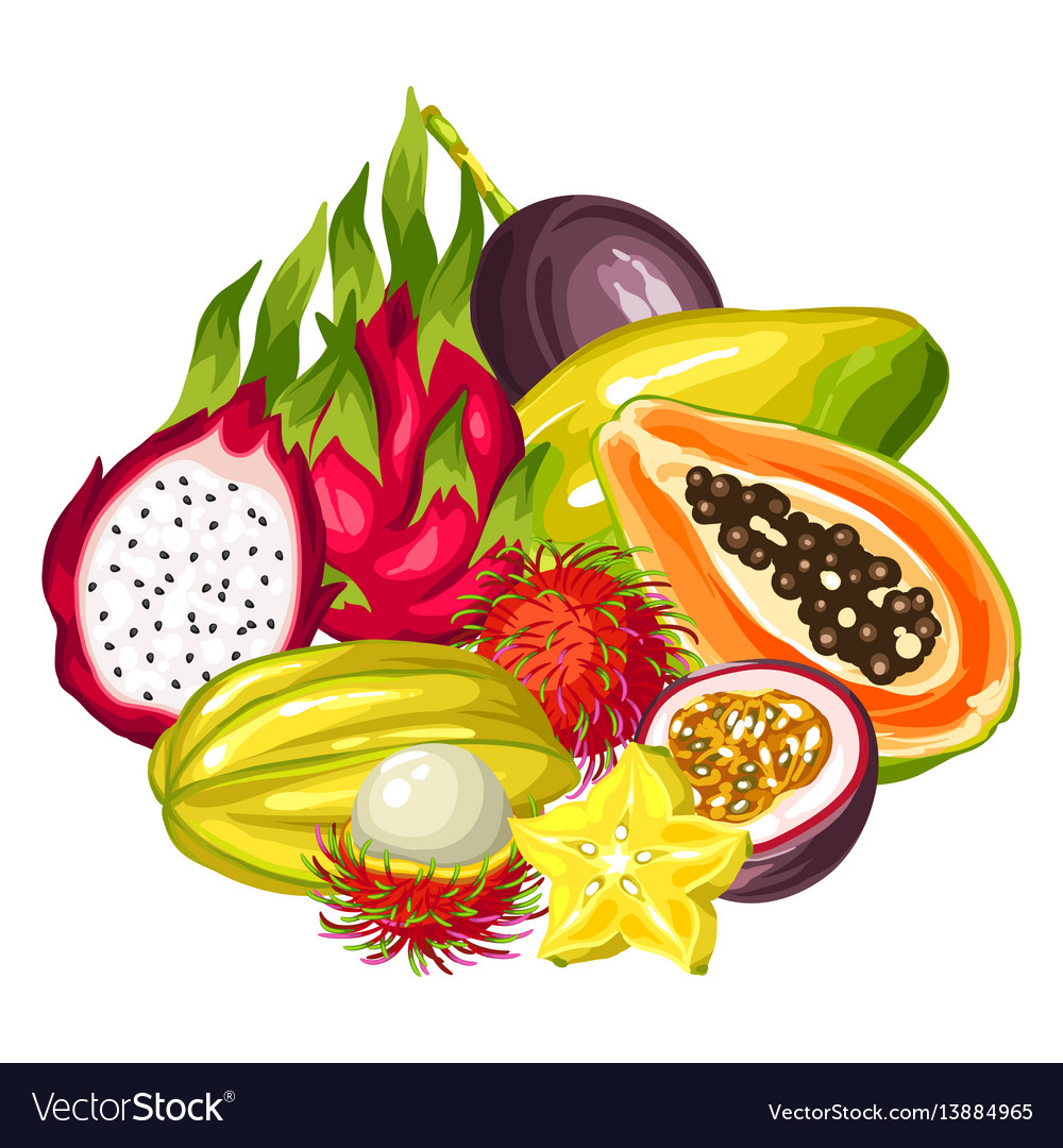 Exotic tropical fruits collection of.