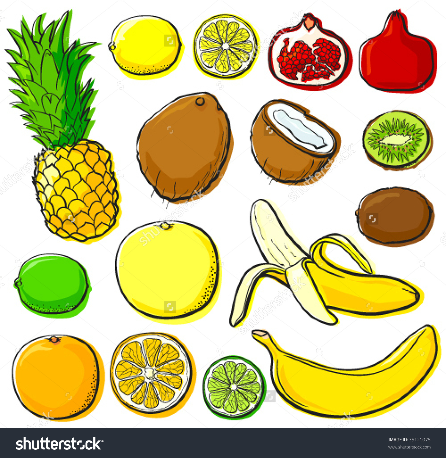 Tropical Fruit Set Without Gradients Each Stock Vector 75121075.