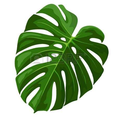 Free Free 233 Tropical Flower Leaves Svg SVG PNG EPS DXF File