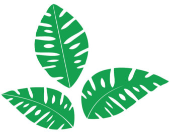 Tropical Leaves Clipart.