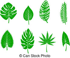 Tropical leaf clipart 20 free Cliparts | Download images on Clipground 2022