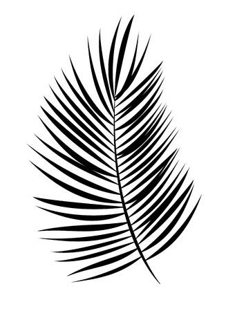 Palm Tree Leaf Clipart.