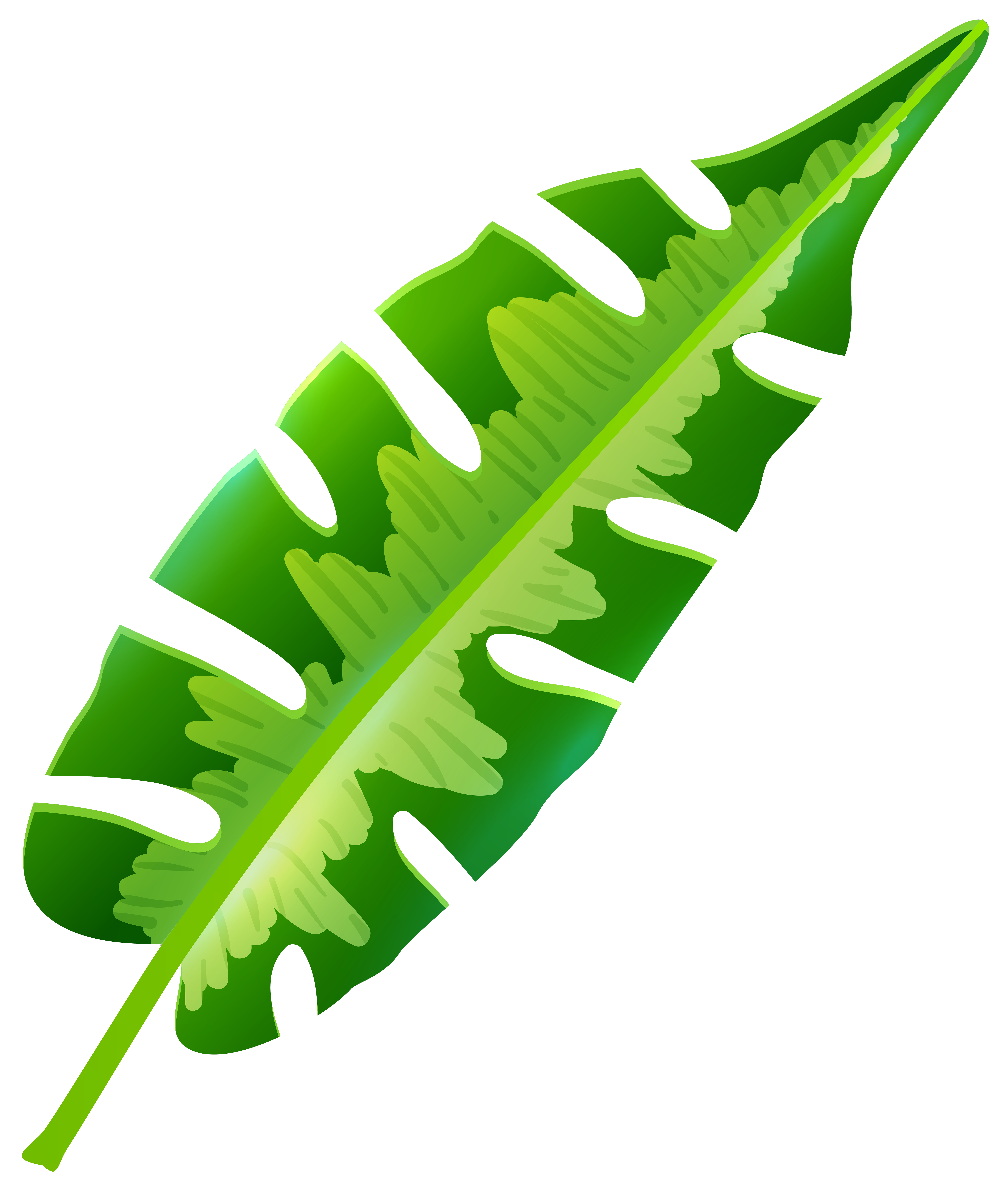 Free Tropical Leaf Cliparts, Download Free Clip Art, Free.
