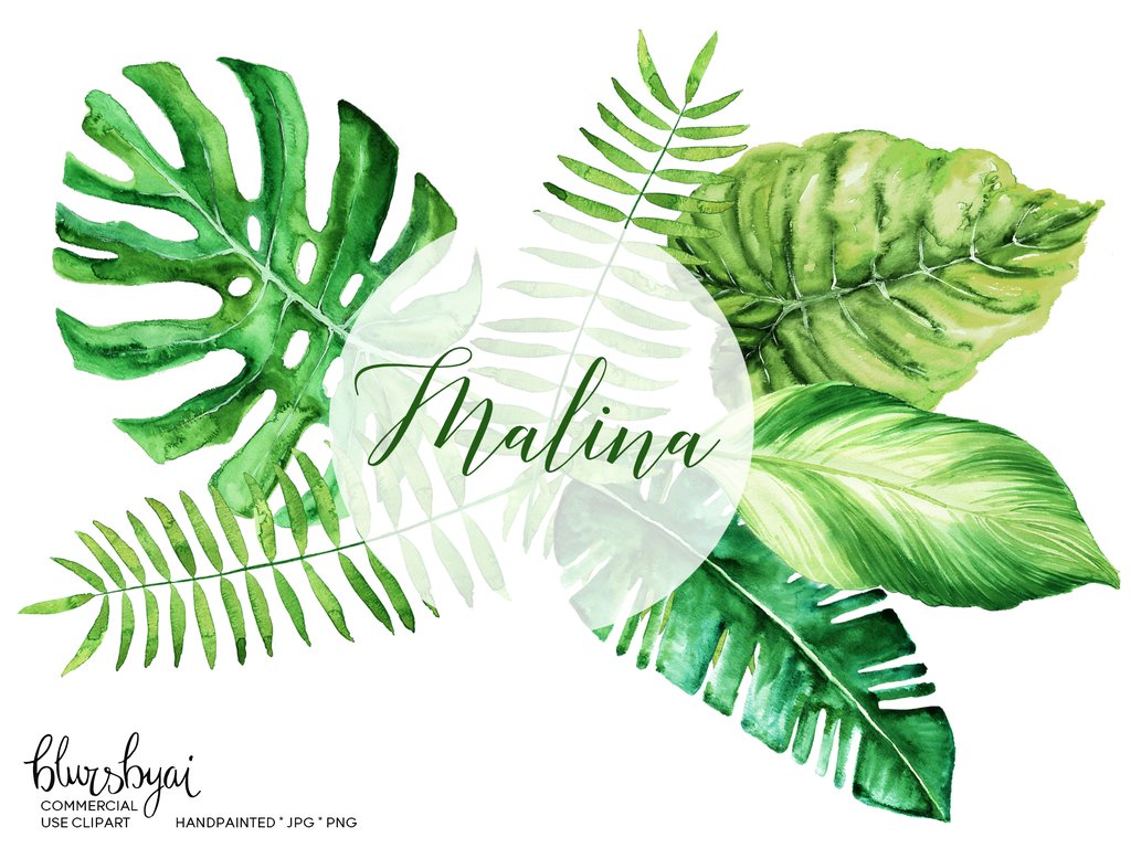 Watercolor tropical leaves clipart, monstera deliciosa, banana leaf & palm,  commercial license.