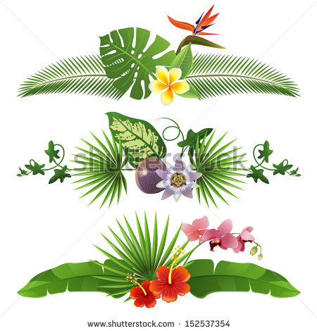Tropical Border Stock Images, Royalty.