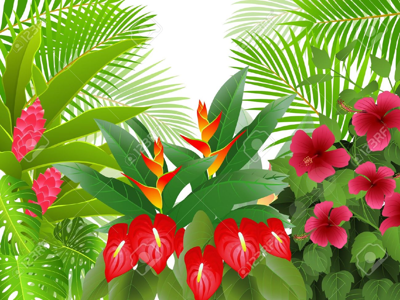 Tropical Rainforest Background Clipart.