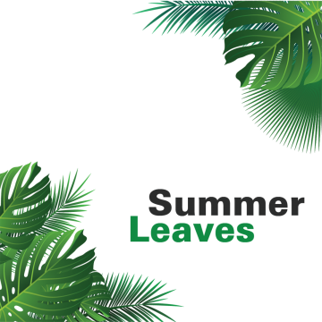 Summer Tropical Leaves Hanging, Summer Leaves, Tropical.