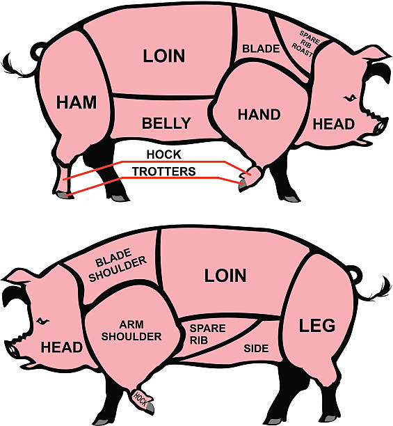 Pig Trotters Clip Art, Vector Images & Illustrations.