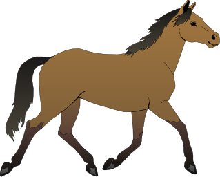 Trot clipart 20 free Cliparts | Download images on Clipground 2024