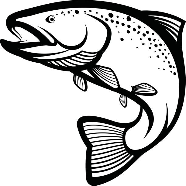 Trout Clipart & Free Clip Art Images #33214.