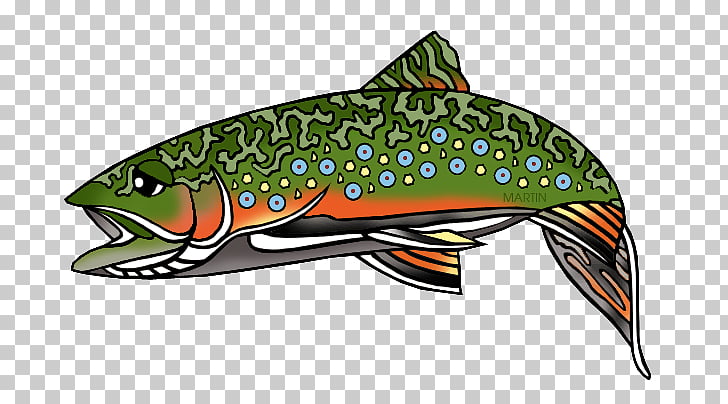 Rainbow trout Free content , Wv s PNG clipart.