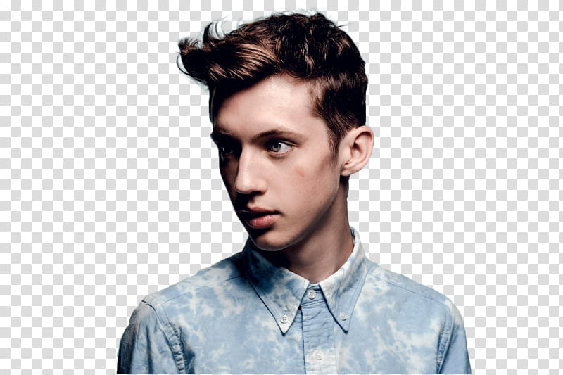 TROYE SIVAN transparent background PNG clipart.
