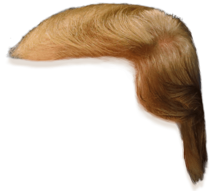 Donald Trump Hair Side View Png Clipart.