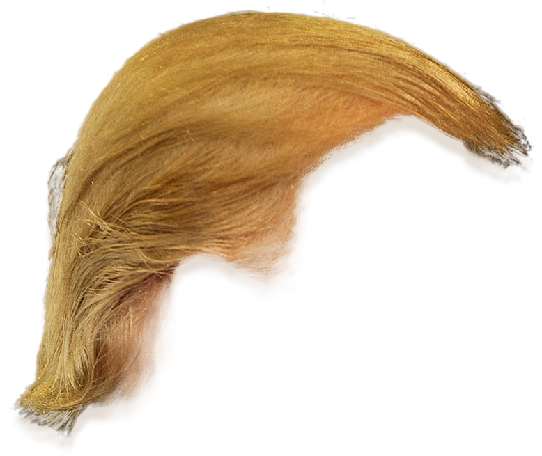 Donald Trump Hair Side View Png Transparent.