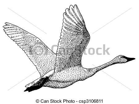 Download Trumpeter swans clipart 20 free Cliparts | Download images ...