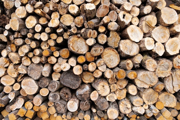 Firewood clipart single wood log, Firewood single wood log.