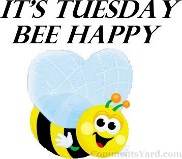 Free Silly Tuesday Cliparts, Download Free Clip Art, Free.
