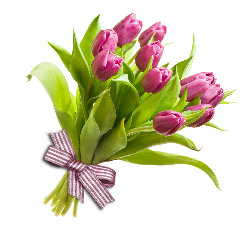 Bouquet of tulips clipart.