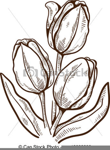 Free Black And White Tulip Clipart.