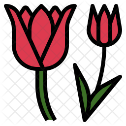 Tulip Flower Icon.