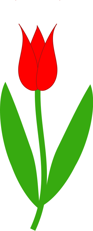 Tulip flower clipart.