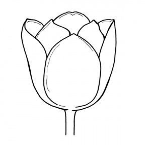 Tulip Clipart Outline.