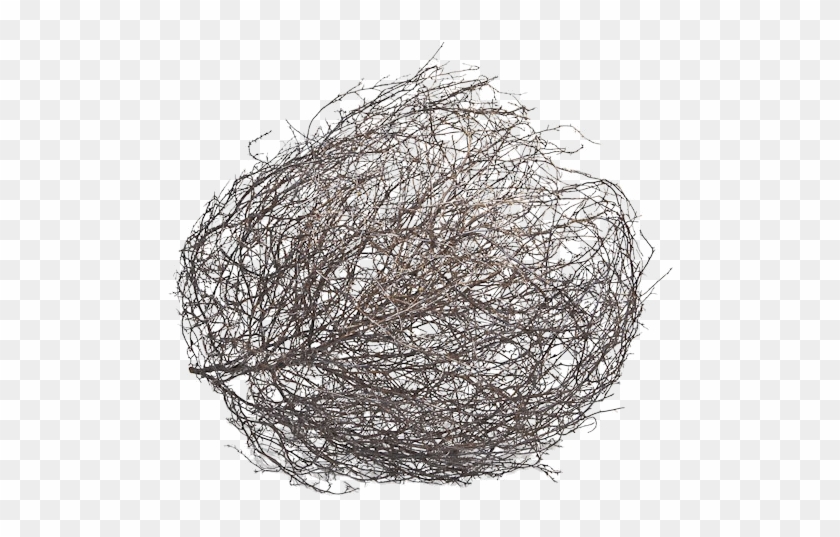 tumbleweed png 10 free Cliparts | Download images on Clipground 2021