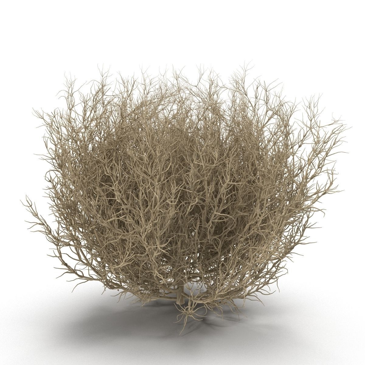 Tumble Weed Png (+).