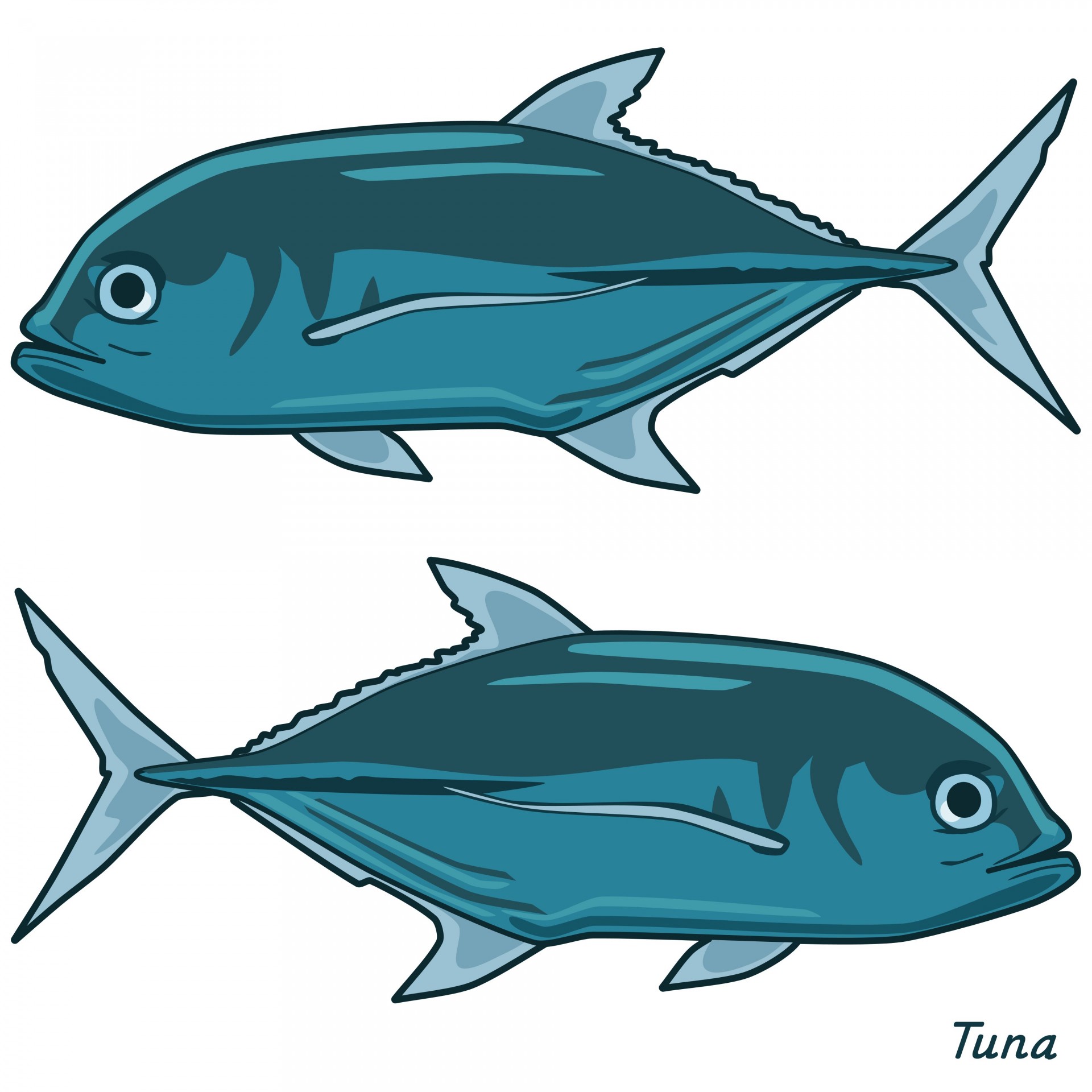 Tuna Clip Art Free Stock Photo.