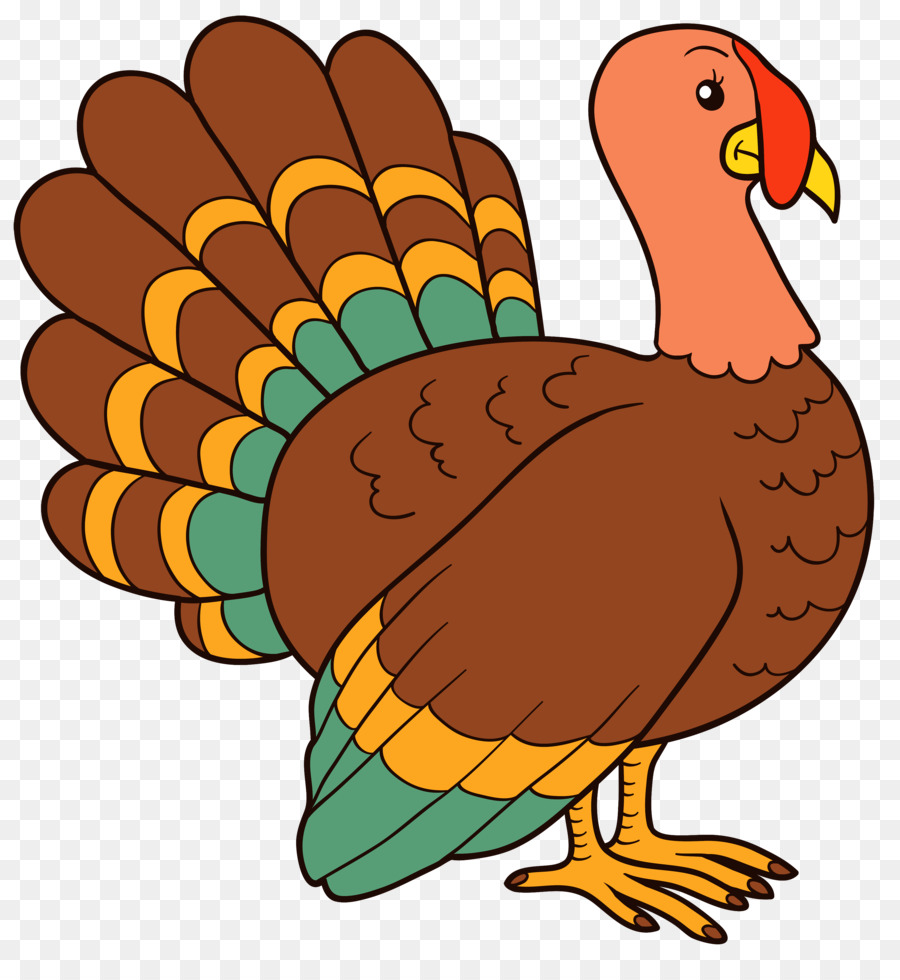 Turkey Thanksgiving Cartoon clipart.