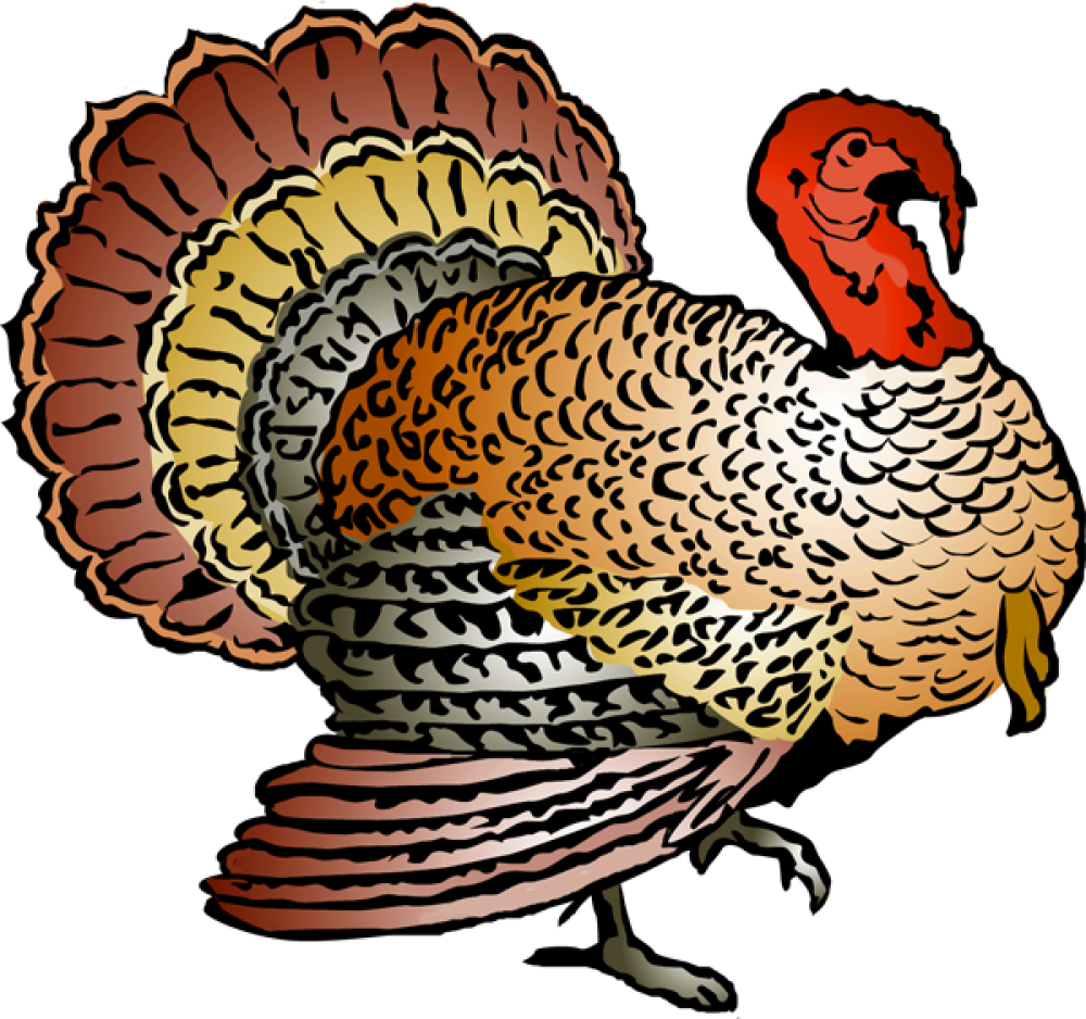 turkey-clipart-png-20-free-cliparts-download-images-on-clipground-2023