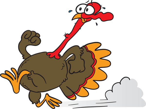 turkey gobbler clipart 10 free Cliparts Download images on Clipground