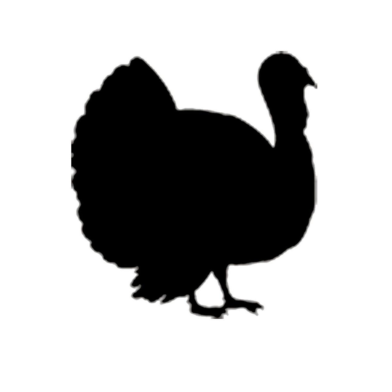 Free Turkey Silhouette Svg