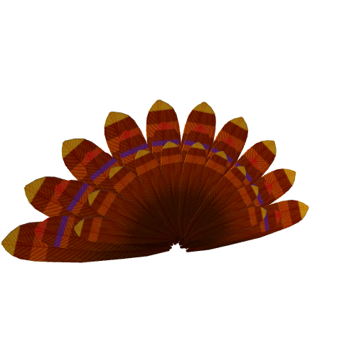 Turkey Tail.