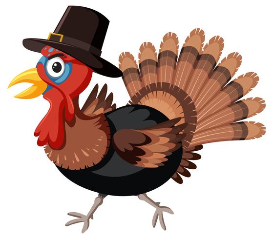 Thanksgiving turkey with hat.