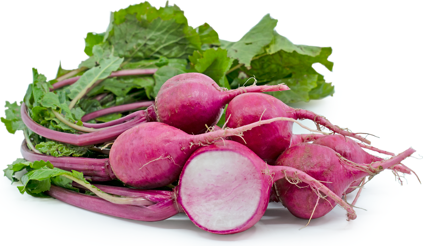 Turnip Png (104+ images in Collection) Page 3.