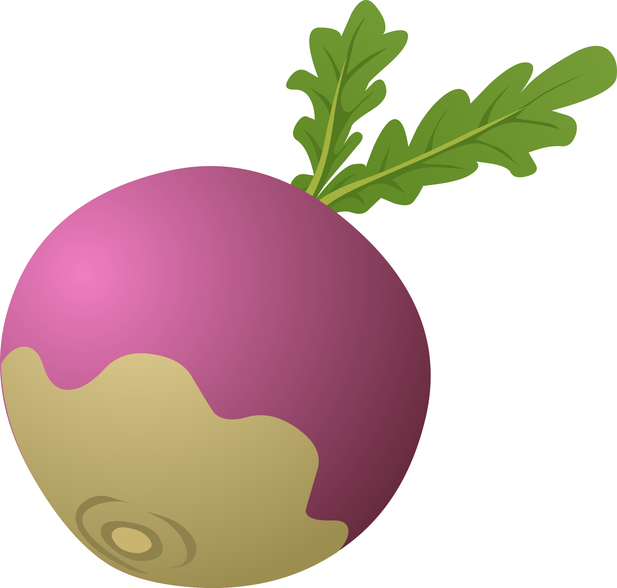 Clipart turnip.
