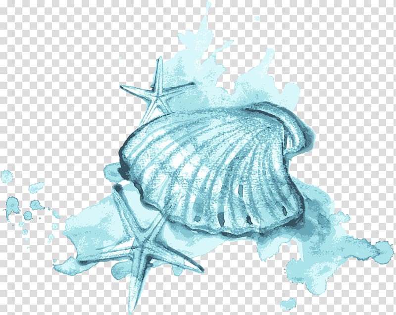 Seashell Watercolor painting Illustration, Blue watercolor.