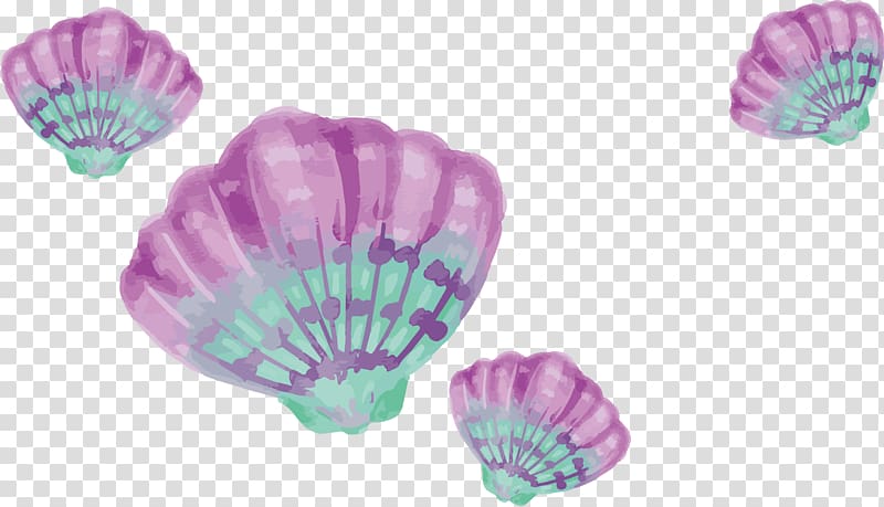 turquoise & pink seashells clipart 10 free Cliparts | Download images ...