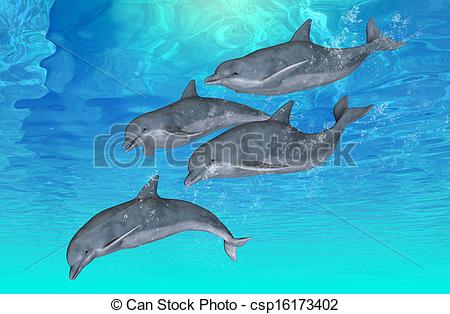 Tursiops Illustrations and Clip Art. 19 Tursiops royalty free.