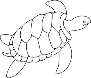 Turtle Clipart Image.