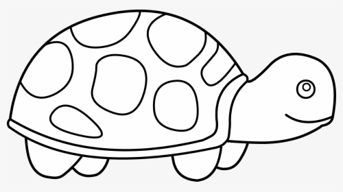 Turtle Clipart Snake.