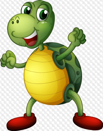 PSD, 9 PNG, Turtle, Clipart on transparent background.