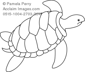 Sea Turtle Drawing Outline.